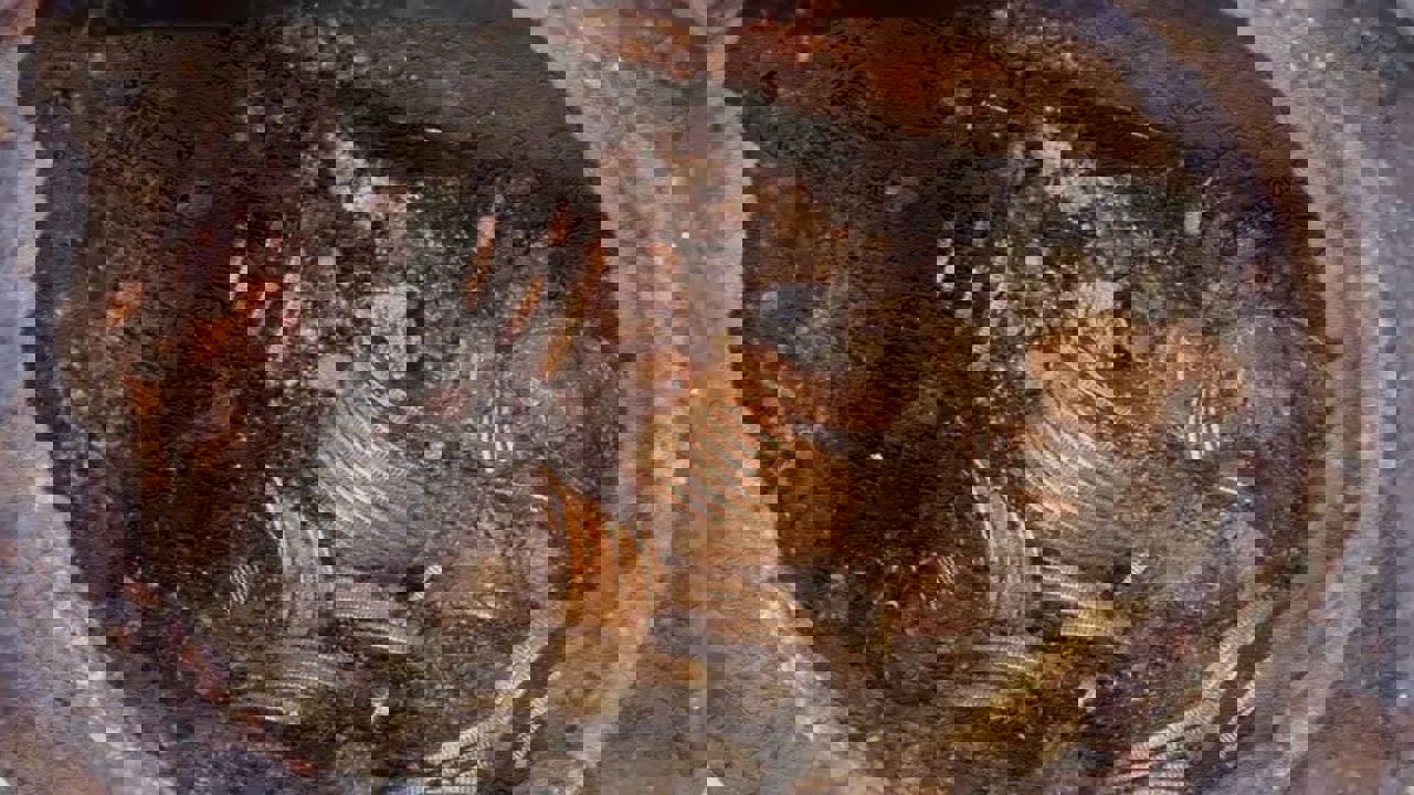 Altı adeta servet dolu ilimiz: Yer altı zenginliği ekonomiye güç katıyor